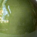 Verde musgo